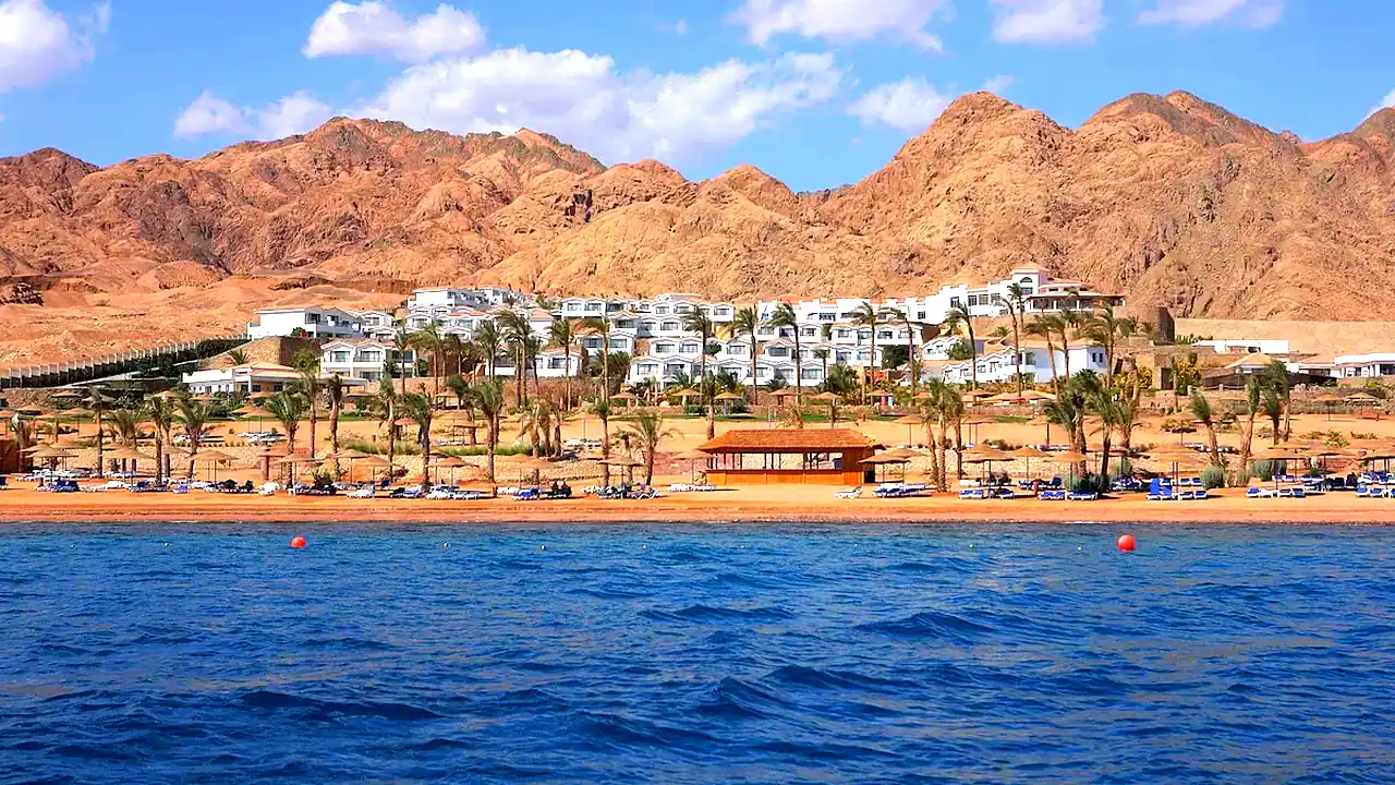 الفندق إيكوتيل دهب باى فيو - دهب